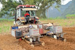 <strong>为不变糖料蔗出产、拓宽农户增</strong>