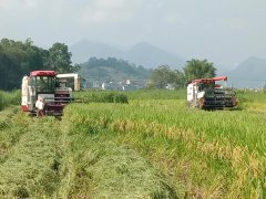 畴前期的大功率旋耕机深耕工场化集中育