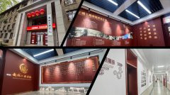 严新平院士以《船用绿色智能设备的成长